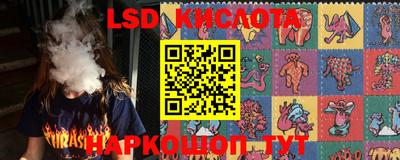 шишки Тара