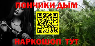 шишки Тара