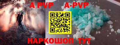 шишки Тара