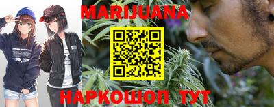 шишки Тара
