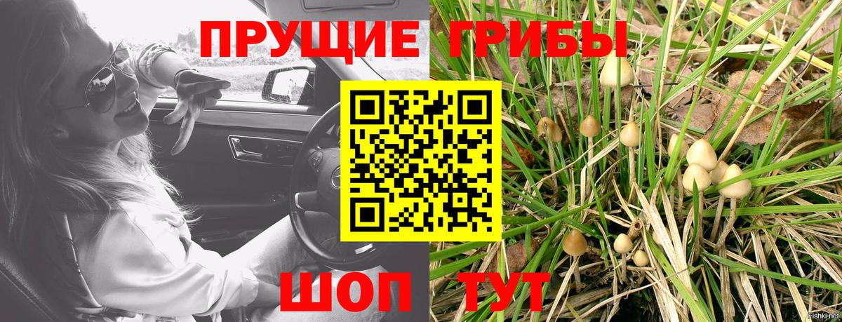 Псилоцибиновые грибы ЛСД Аша