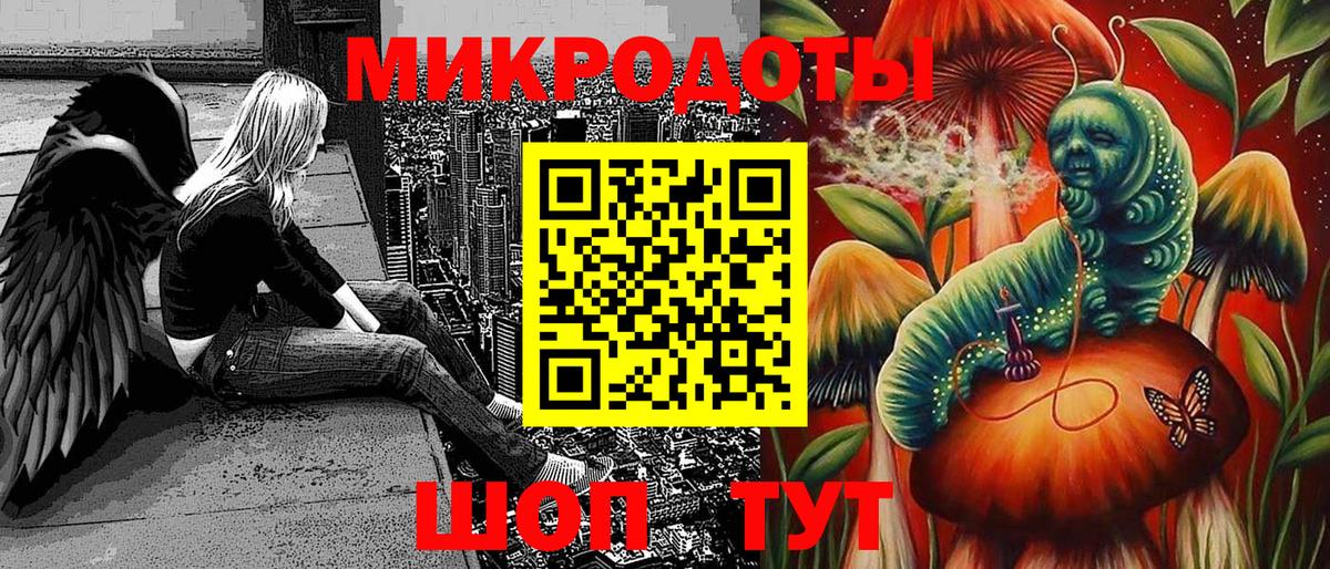 Галлюциногенные грибы Psilocybine cubensis  Вход с VPN  Аша  Галлюциногенные грибы Cubensis 